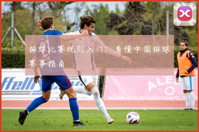 排球比赛规则入门：看懂中国排球赛事指南