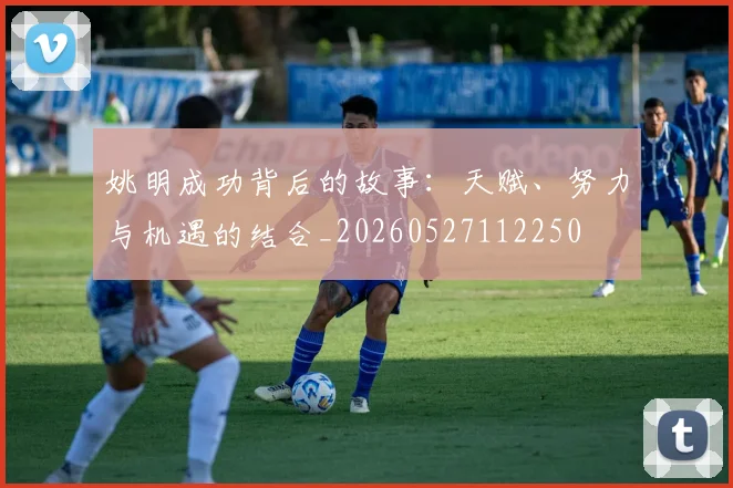 姚明成功背后的故事:天赋、努力与机遇的结合_20260527112250