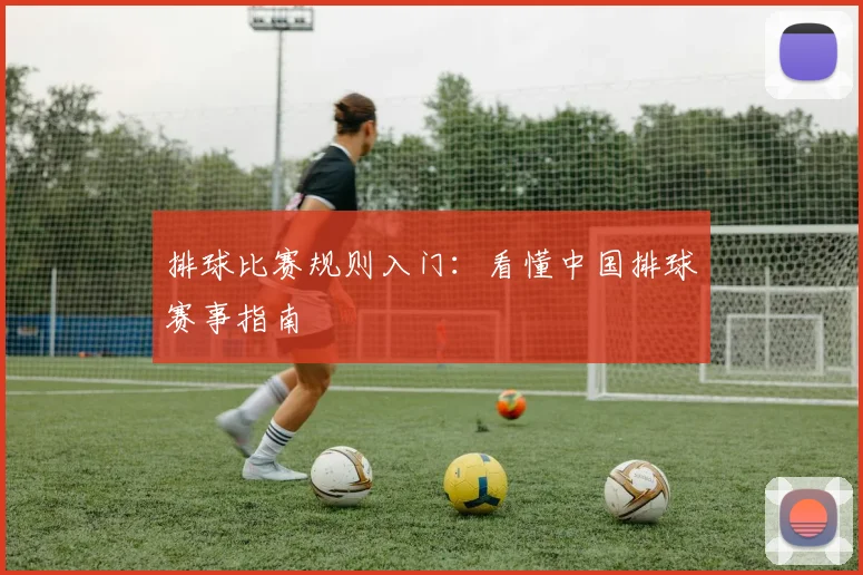排球比赛规则入门：看懂中国排球赛事指南